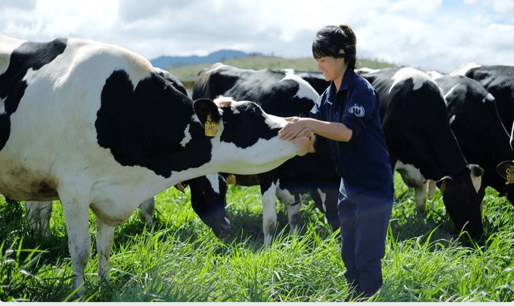 project_context_image