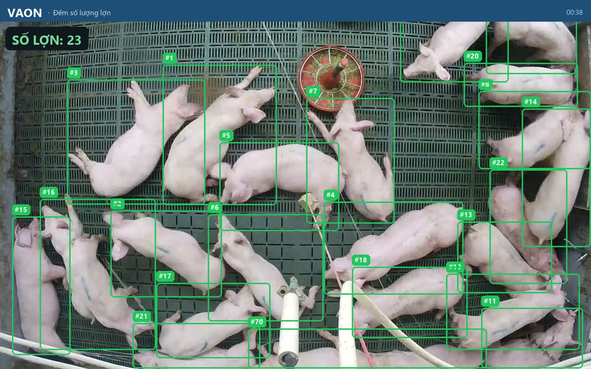 VAON Case Studies: Real-time AI pig counting: a PoC for herd tracking via camera, 95-98% accuracy at gate crossing
